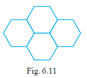 Page 96 Chapter 6 Class 6th NCERT Exemplar